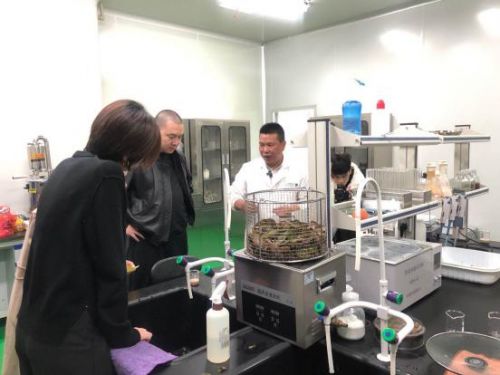 科技賦能農(nóng)業(yè)新篇章 CCTV 1聚焦云谷田園LED植物工廠，珍稀本草金線蓮成功培育引領(lǐng)生物技術(shù)新服務(wù)